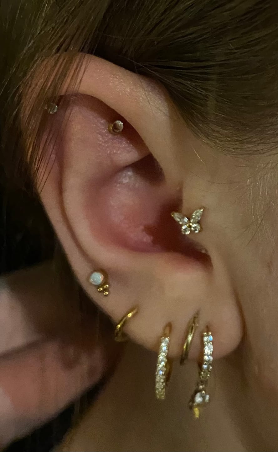 Customer photo review of Butterfly Piercing | Titan