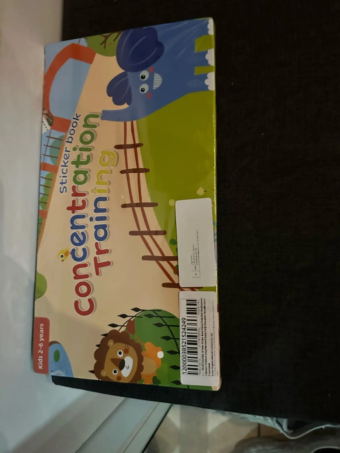 Customer photo review of Educational Tool Concentration Training Sticker Books