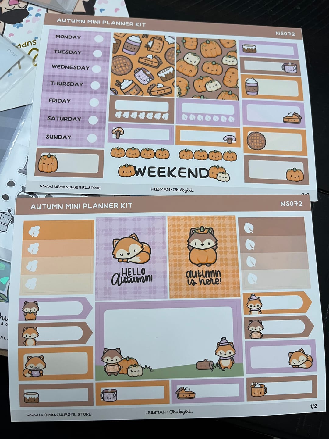 Customer photo review of Autumn Mini Planner Kit (Set of 2)