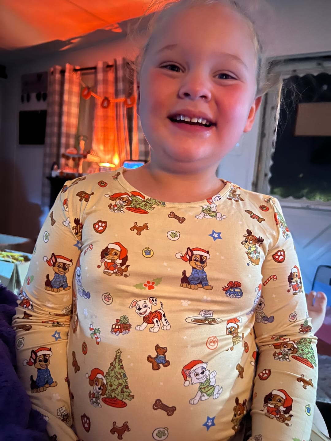 Customer photo review of PAW Patrol: Jingle Paws Bamboo Girls' Long Sleeve Dress