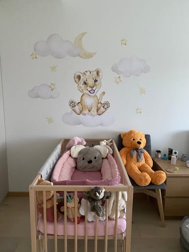 Customer photo review of Baby Lion in the Clouds