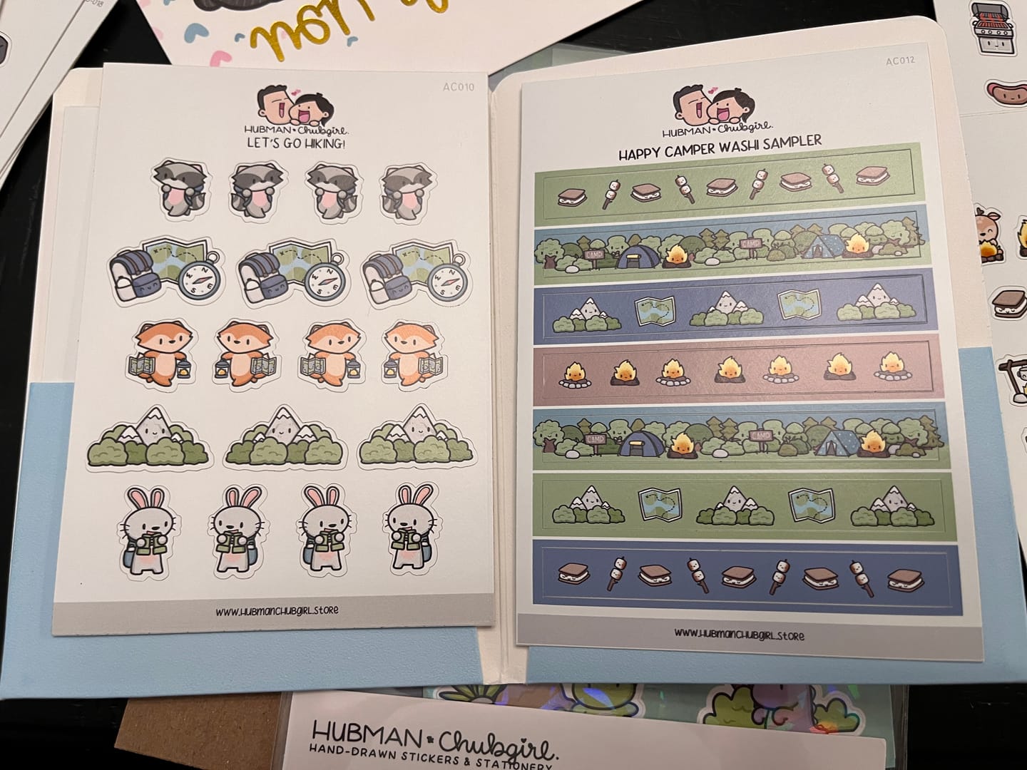 Customer photo review of Let's Go Hiking Planner Stickers