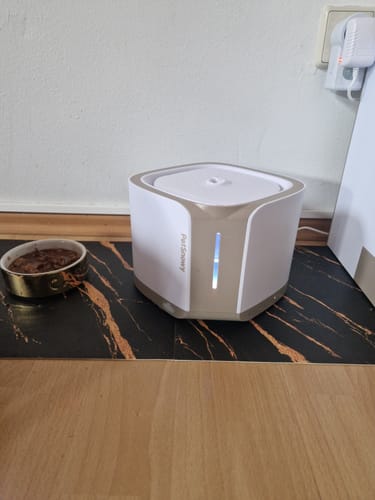 Customer photo review of Pet Water Fountain