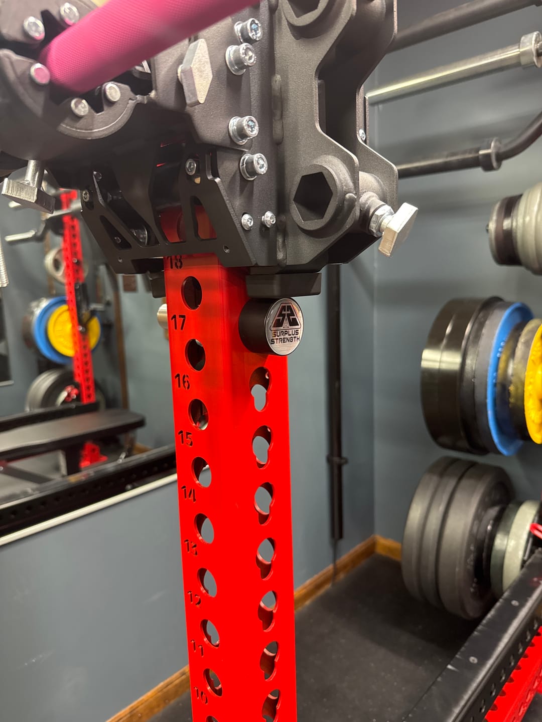 Customer photo review of Speed Pins