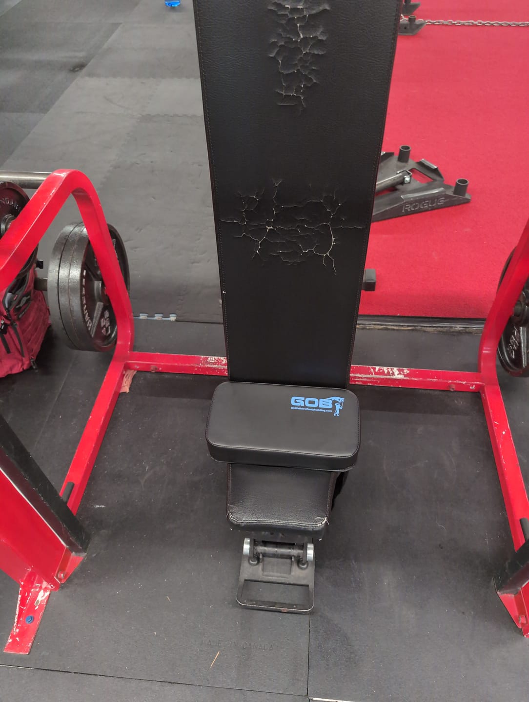 Customer photo review of GOB Large Pad - Designed for Use with Free Weights