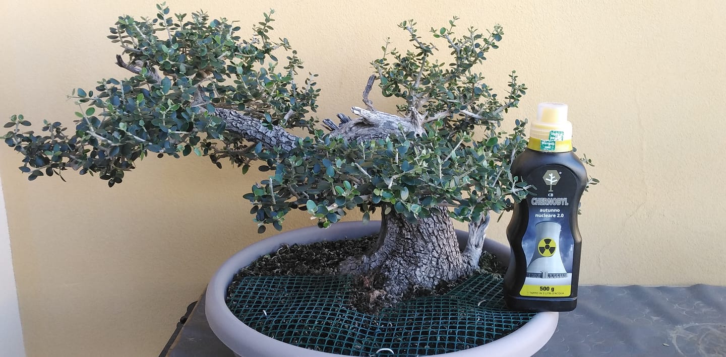 Customer photo review of CHERNOBYL CB® (Autunno Nucleare 2.0)