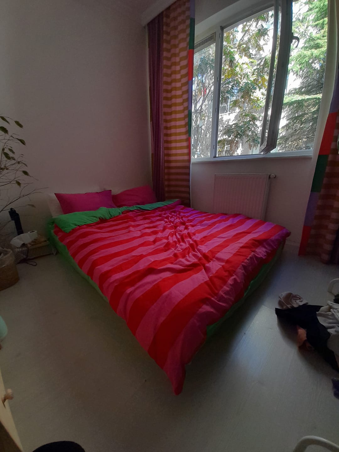 Customer photo review of Cozy Home Popping Colors Çift Kişilik Lastikli Çarşaflı Nevresim Takımı Cherie Yeşil