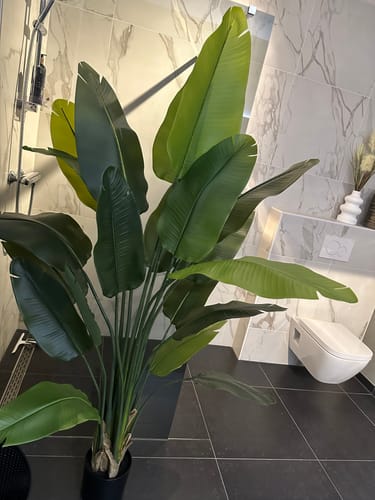 Customer photo review of Strelitzia Kunstplant 180cm