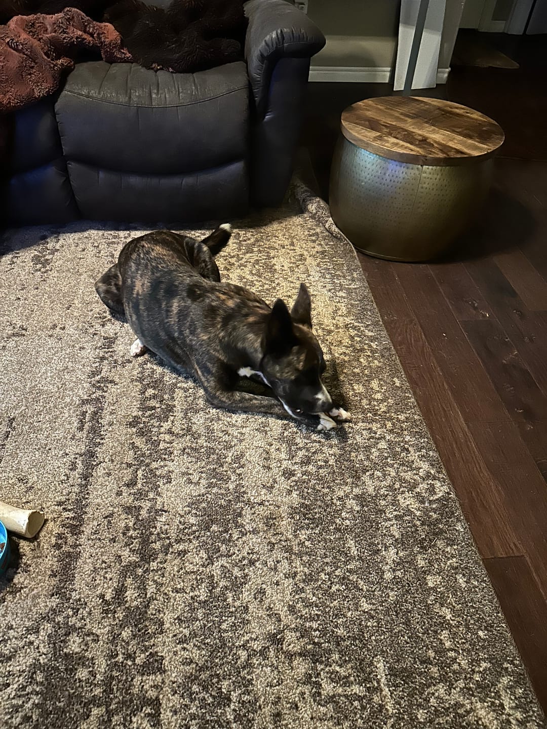 Customer photo review of Maplewood Smoked Bullys