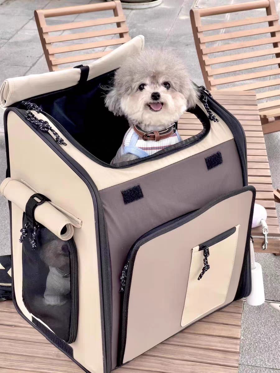 Customer photo review of Luxury Expandable Front and Rear Pet Travel Backpack Tent – Perfect for Multiple Cats, Large Cats, or Small Dogs