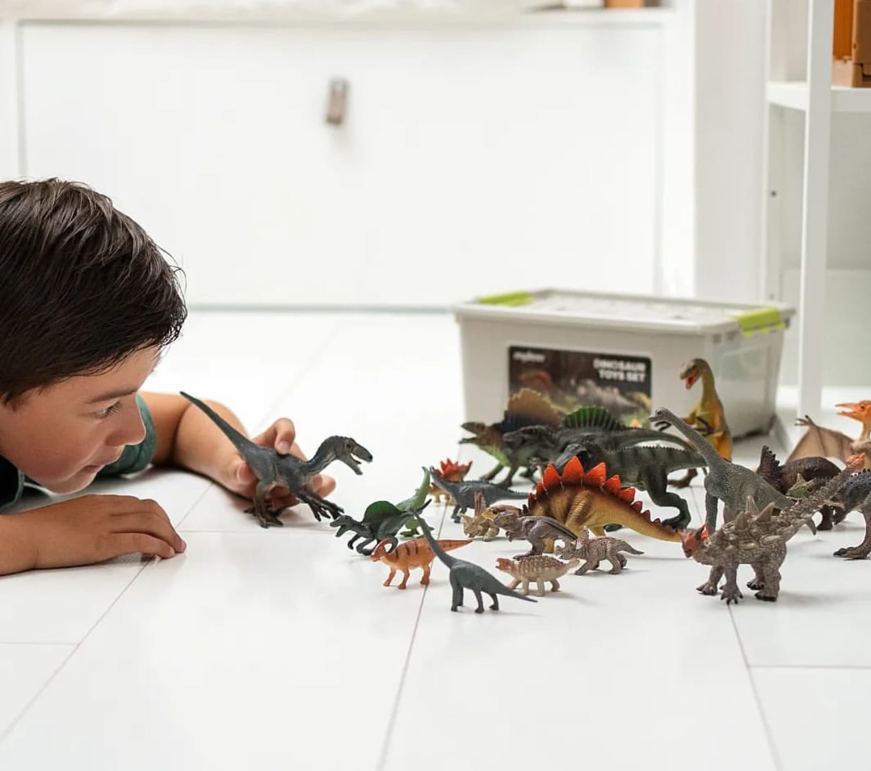 Customer photo review of Mideer Dinosaur Toys Set 24 Pcs