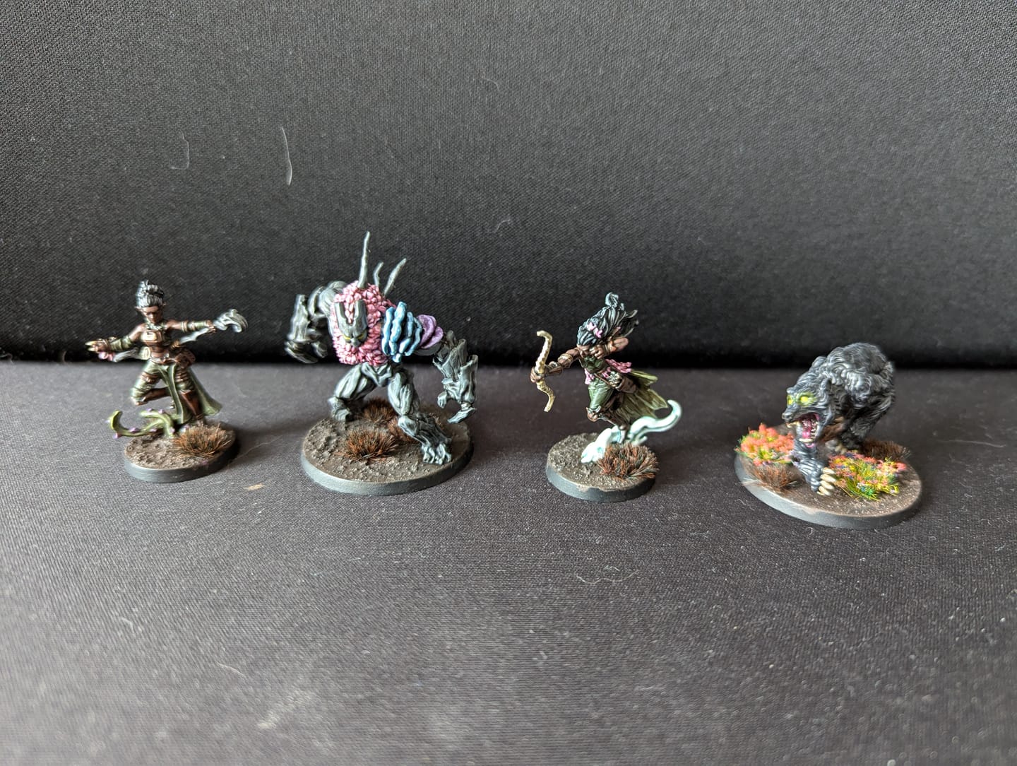 Customer photo review of Lostwood Enclave Faction Set