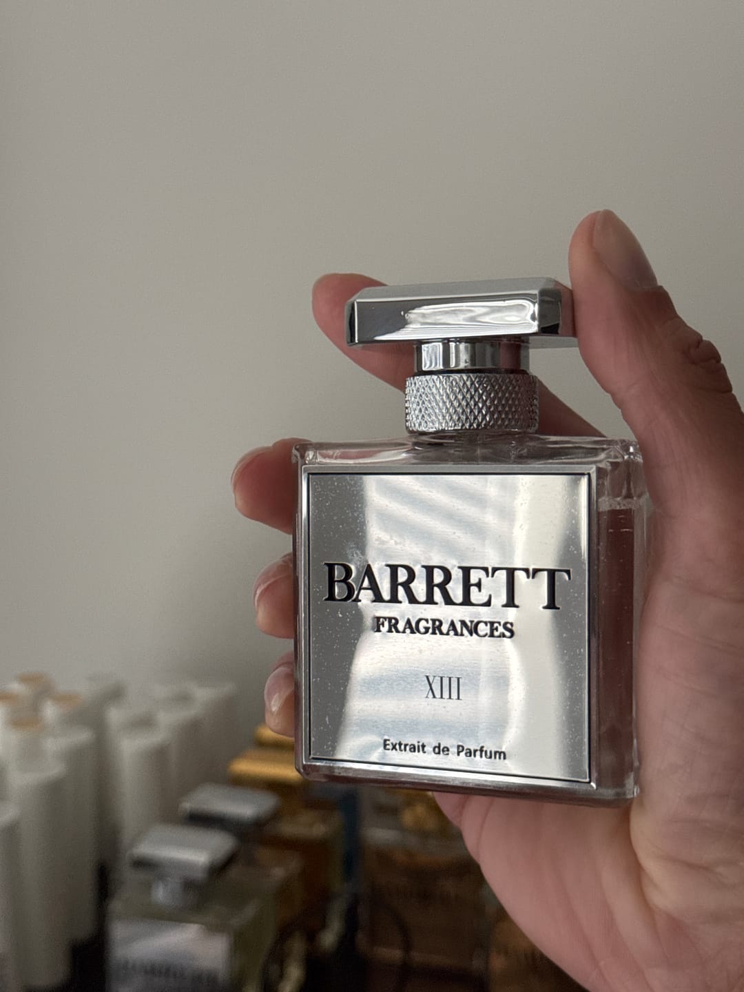 Customer photo review of XIII inspired by Another 13
