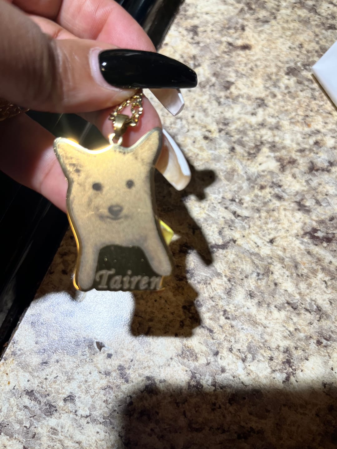 Customer photo review of Custom Photo Engraved Pet Necklace