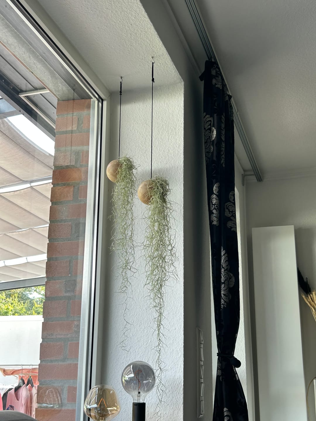 Customer photo review of Tilly Xylo Globus