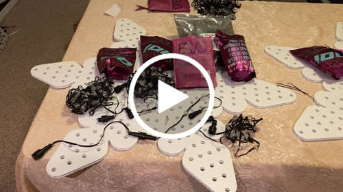 Customer video review of EVO Pixels