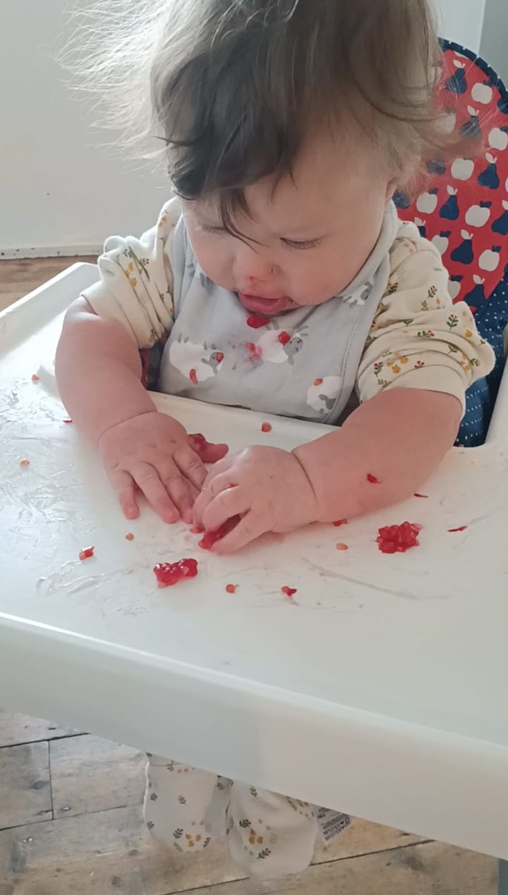Customer photo review of Quince Flowers Organic Babygrow