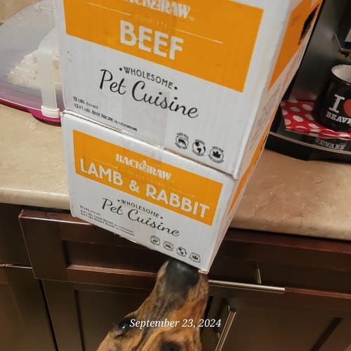Customer photo review of Complete Lamb & Rabbit Combo 12LB - Frozen Raw Food - Back2Raw
