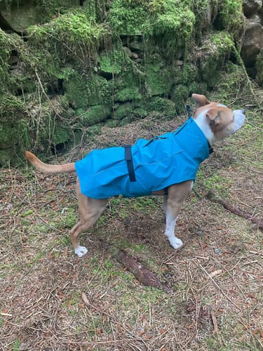 Customer photo review of Vimy Lightweight Waterproof Raincoat with Harness Hole Zip