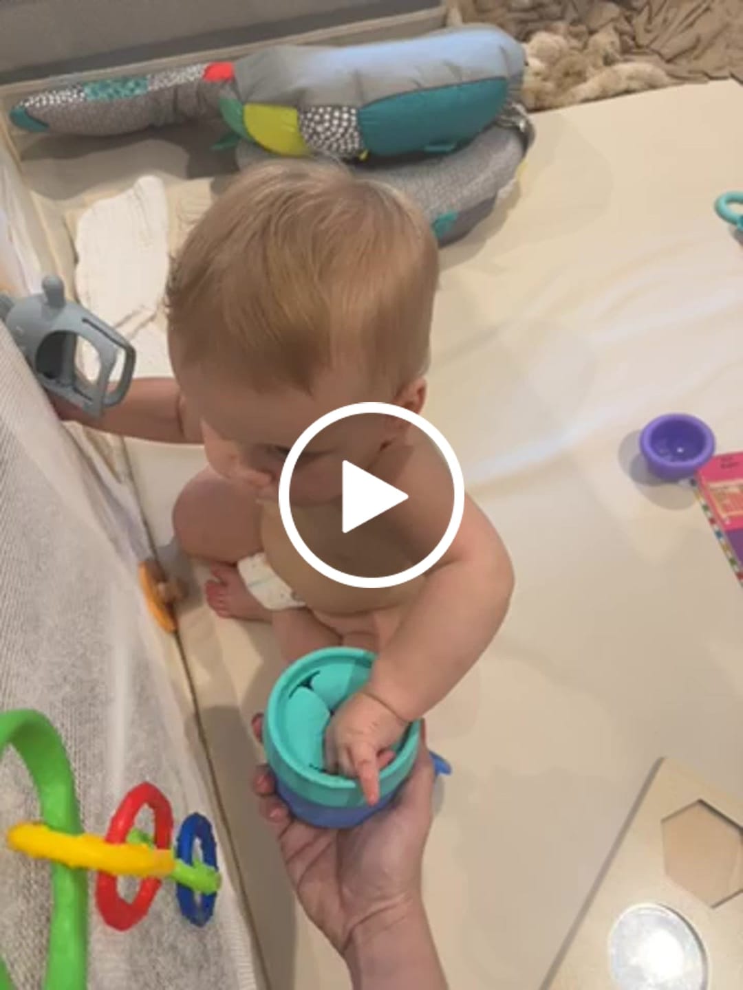 Customer video review of Snack Pack Bundle