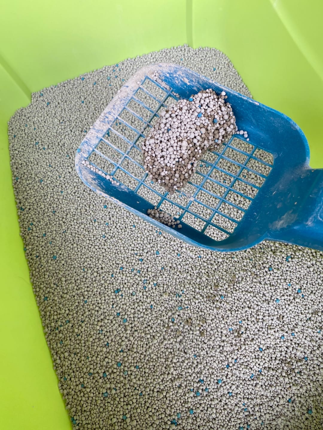 Customer photo review of Arena Minino 48kg - Carbón Activado [Nueva]