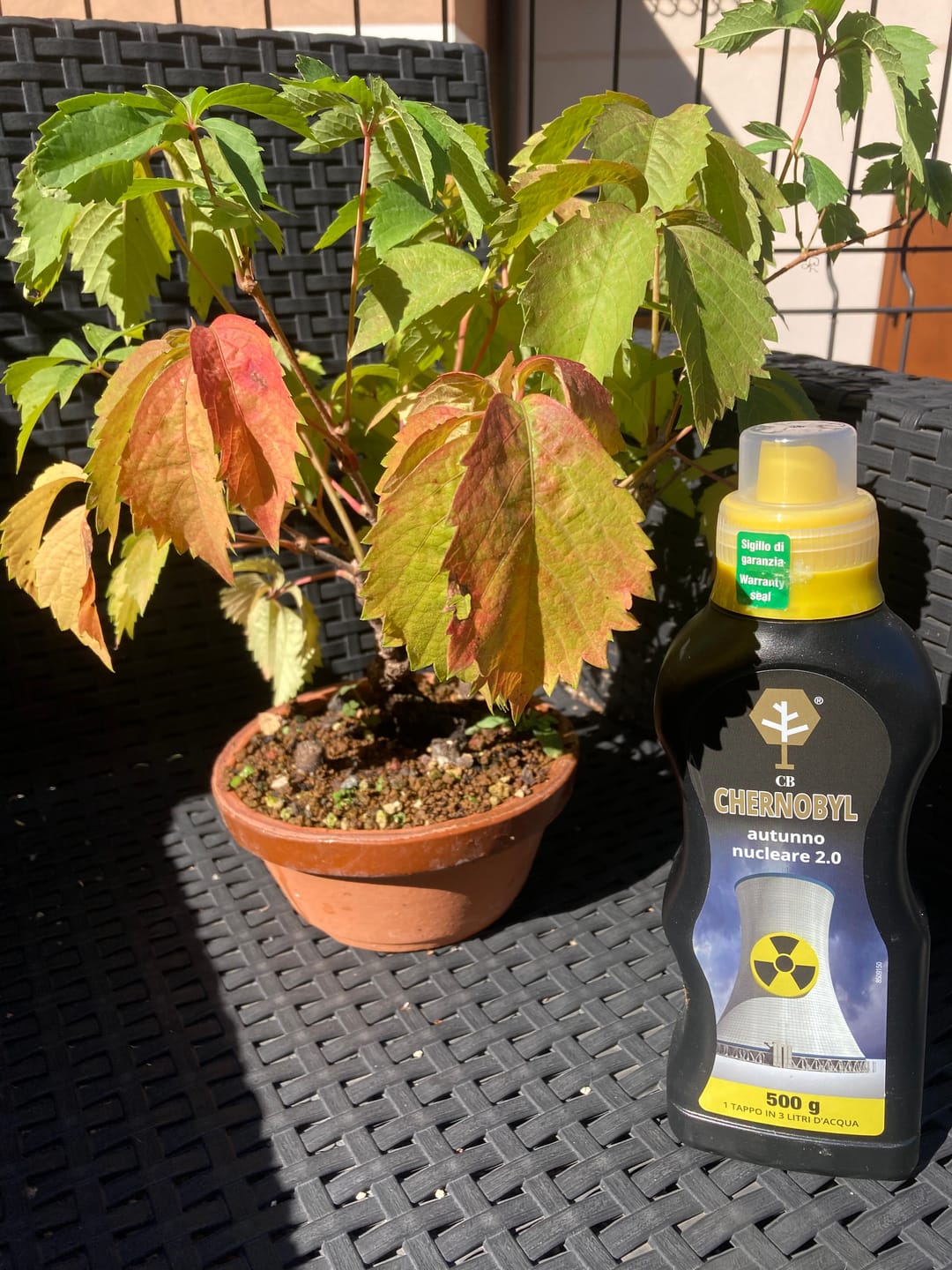 Customer photo review of CHERNOBYL CB® (Autunno Nucleare 2.0)