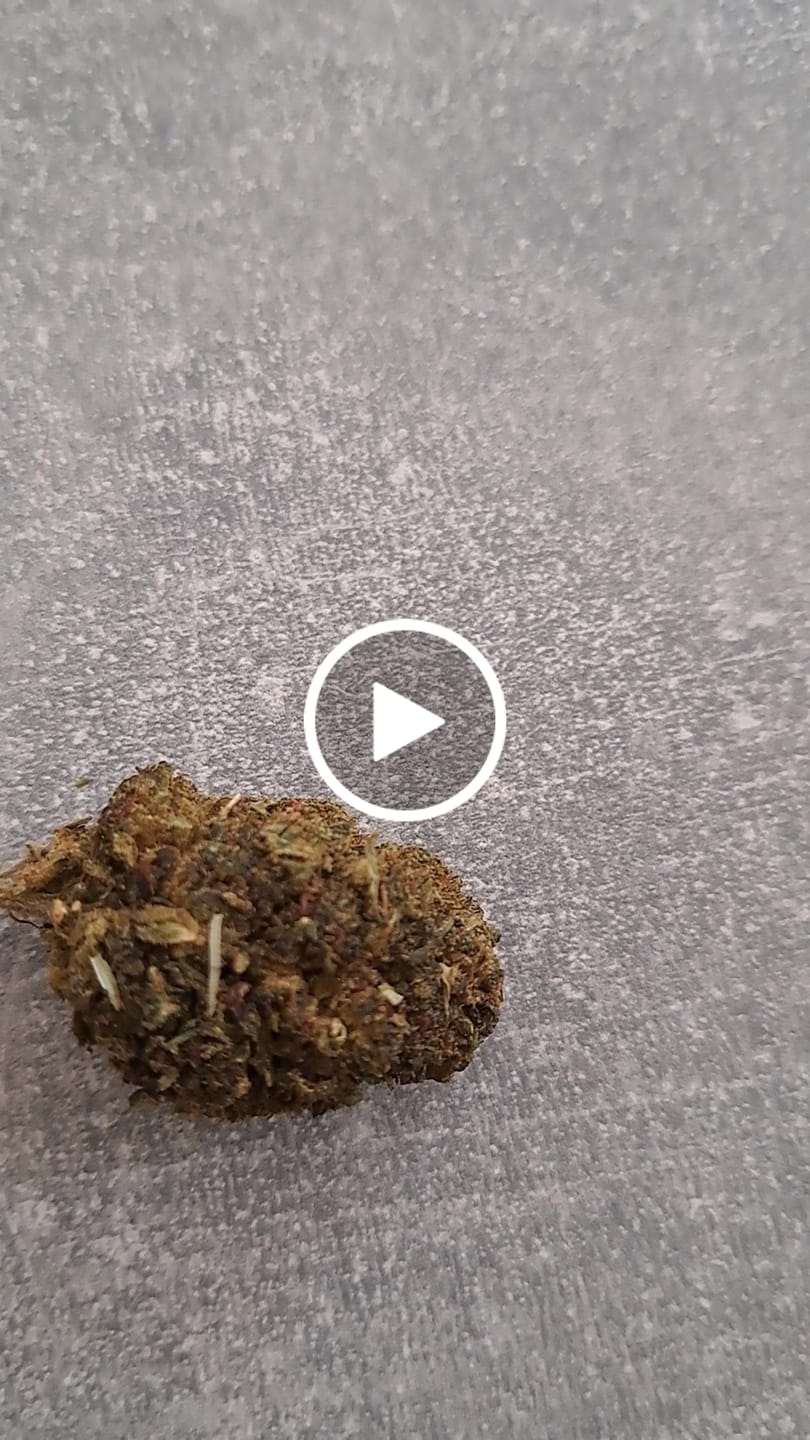 Customer video review of Amnesia Haze CBD Blüten Indoor