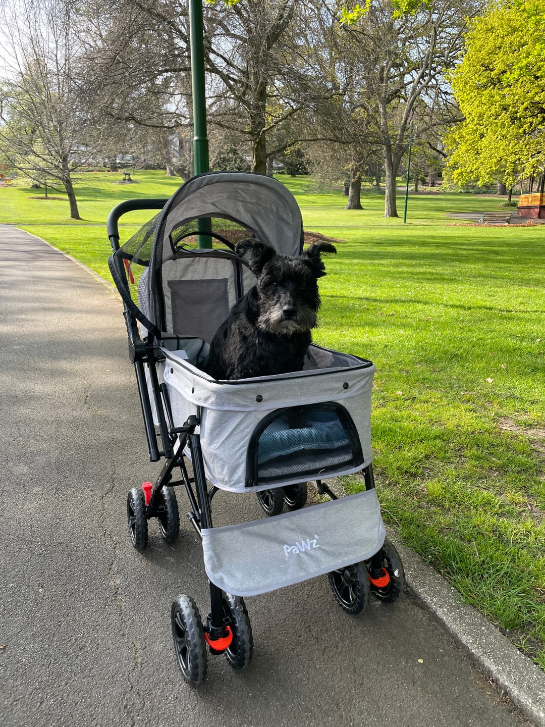 Customer photo review of PaWz Pet Dog Stroller Pram 4 Wheels