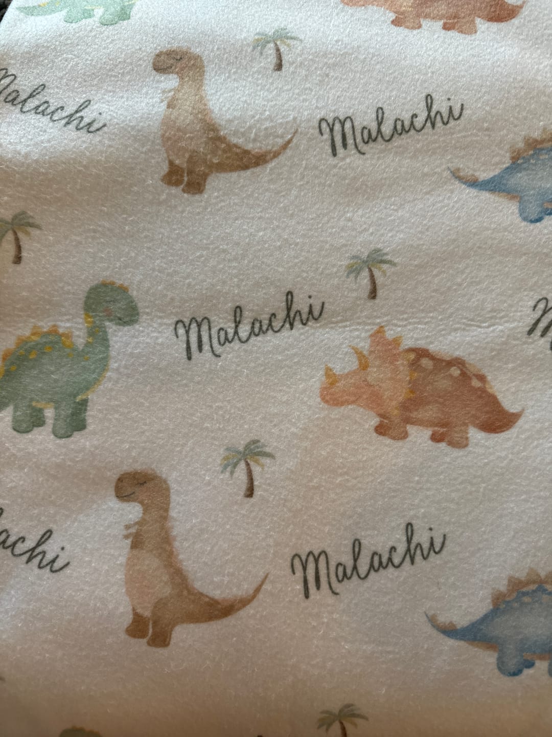 Customer photo review of Sleepy Dinosaurs personalized watercolor baby boy blanket