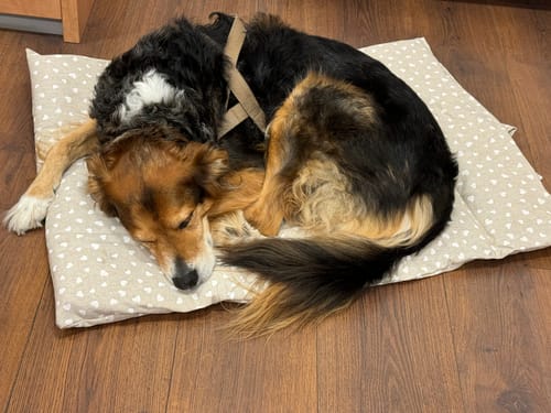 Customer photo review of Trapuntina Arrotolabile Little Love Heart White