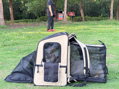 Customer photo review of Luxury Expandable Front and Rear Pet Travel Backpack Tent – Perfect for Multiple Cats, Large Cats, or Small Dogs