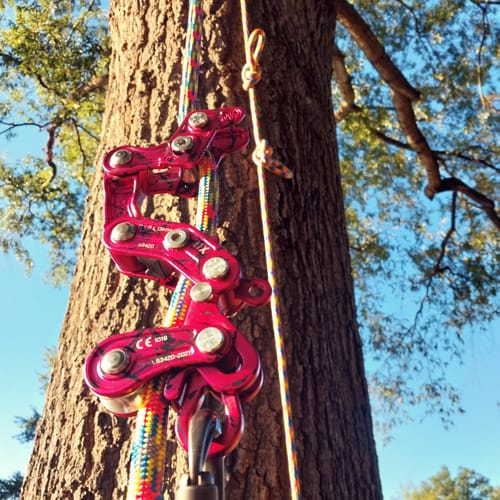 Customer photo review of Aspen 11.7mm SRT