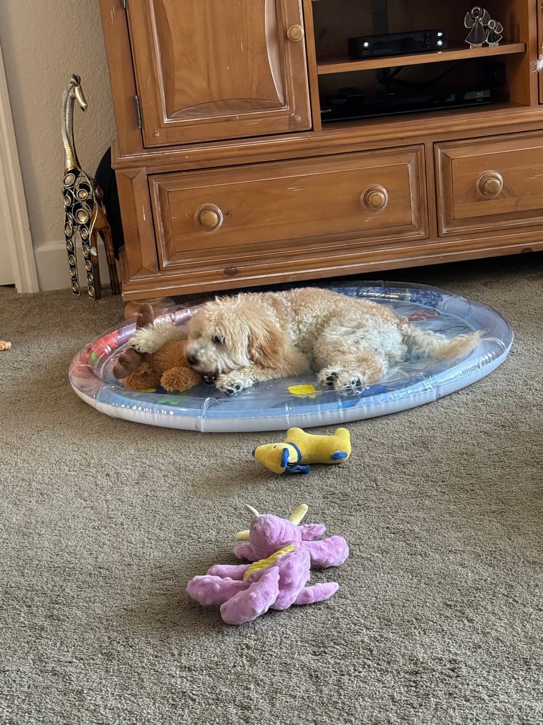 Customer photo review of Upgraded Thickness Pet Cooling Water Bed