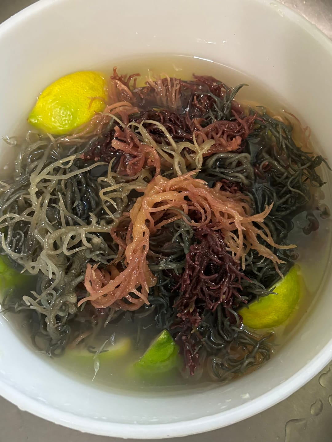 Customer photo review of Full Spectrum Irish Sea moss