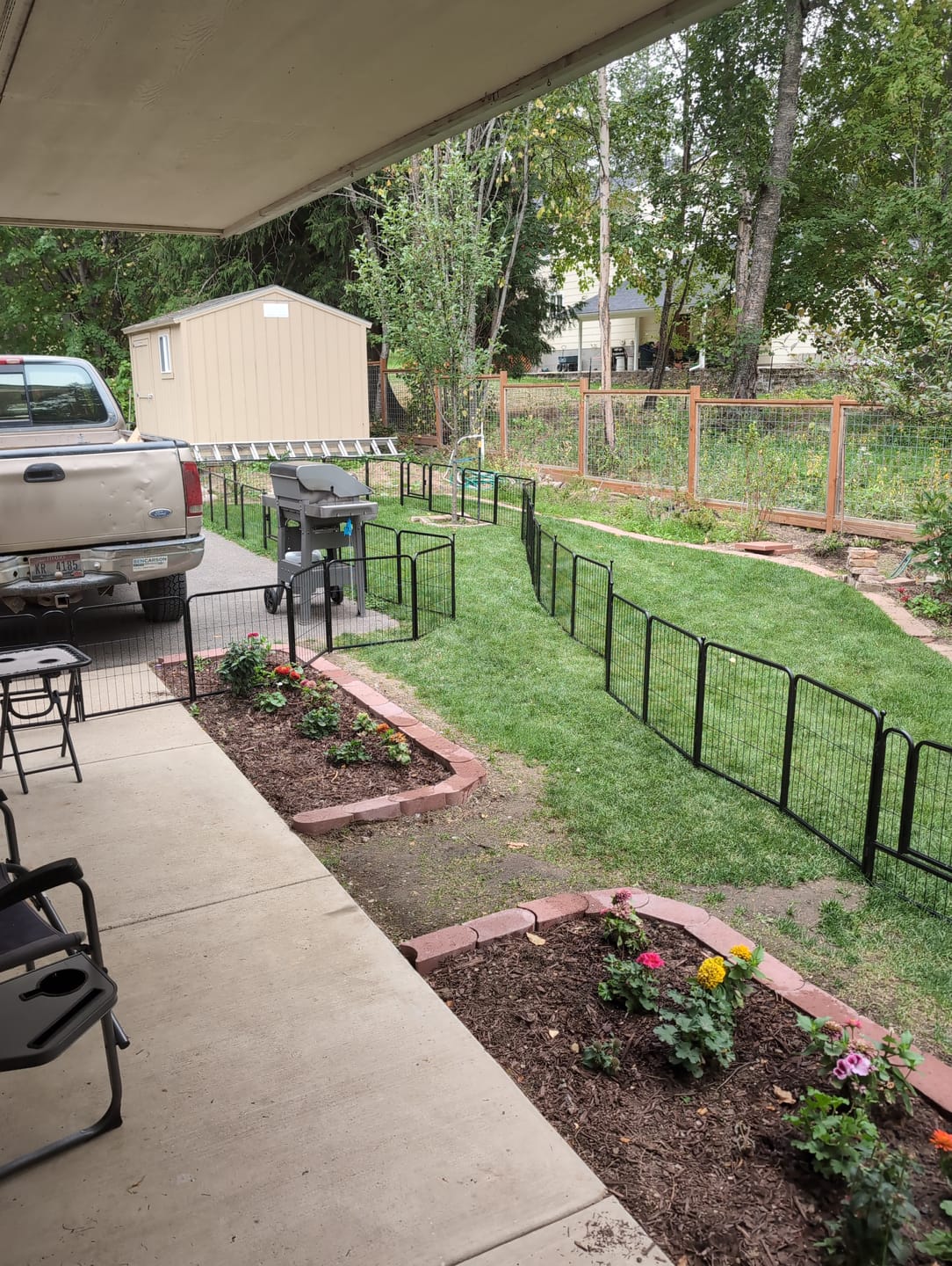 Customer photo review of Instant Dog Playpen for RV Trips