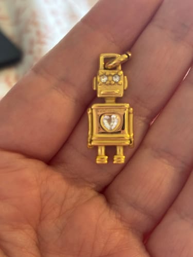Customer photo review of Discobot Gold