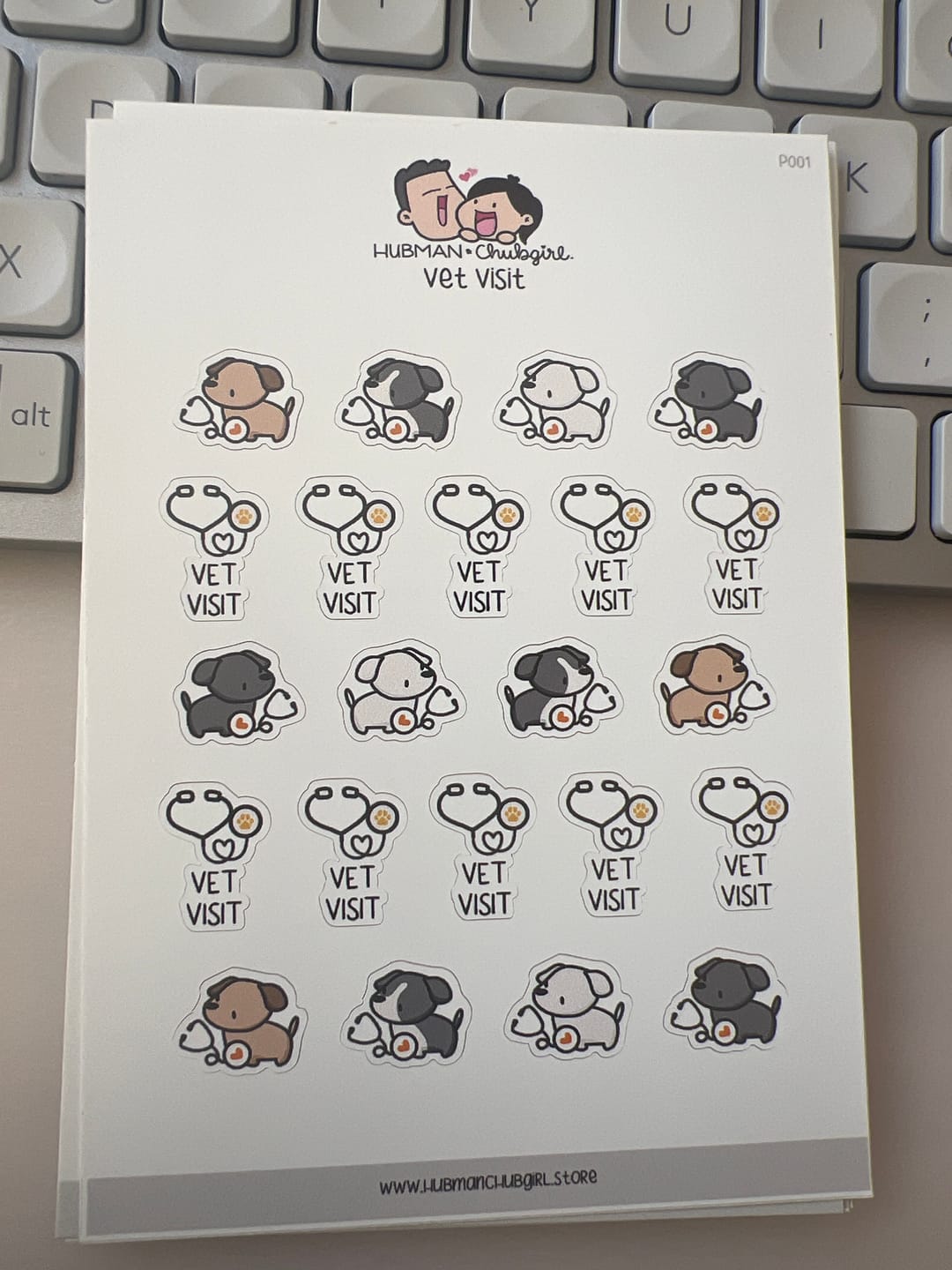 Customer photo review of Vet Visit Planner Stickers