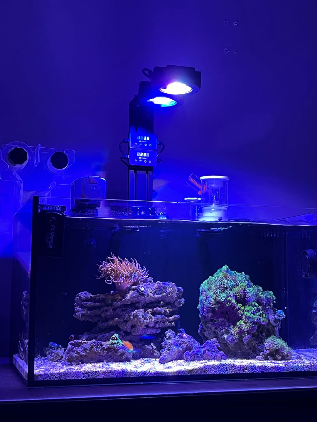 Customer photo review of Illumagic Pixel