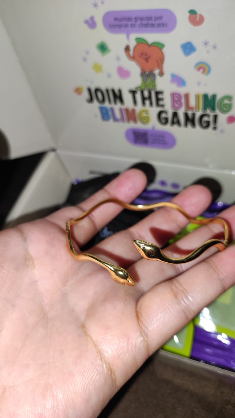 Customer photo review of Pulsera Aspid