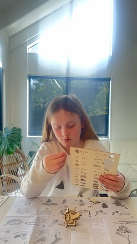 Customer photo review of Treetop Hideaway