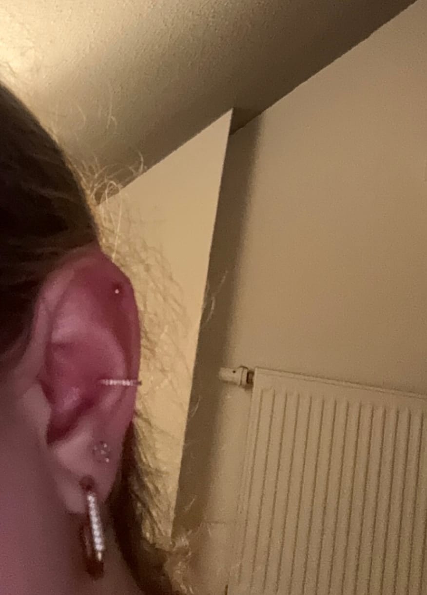 Customer photo review of Conch Clicker | Titan Piercing