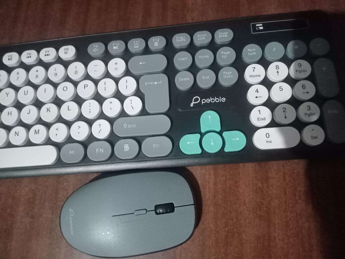 Customer photo review of Pebble Digit001