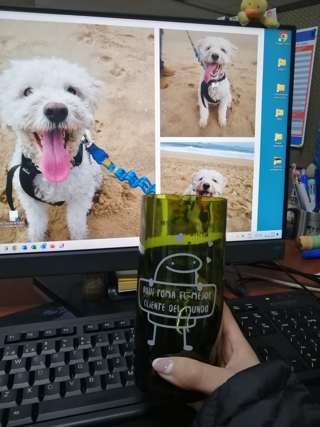 Customer photo review of Miau Glass - Juego de 6 Vasos