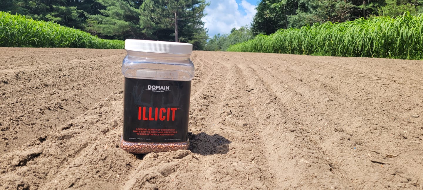 Customer photo review of Illicit™