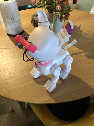 Customer photo review of Mintid Dog-E Robotic Dog