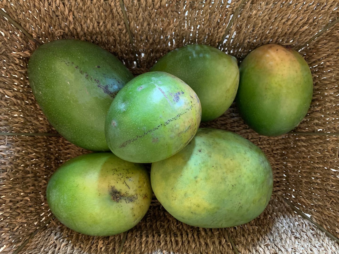Customer photo review of Mango Mix Box