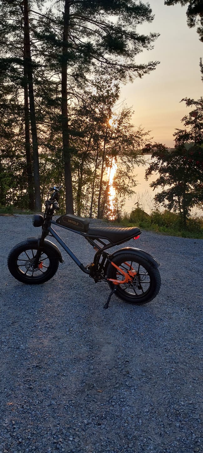 Customer photo review of Vakole Q20 750W 20" Fat Bike Full Suspension E-Mountain Bike EMTB 48V 20Ah Samsung Battery