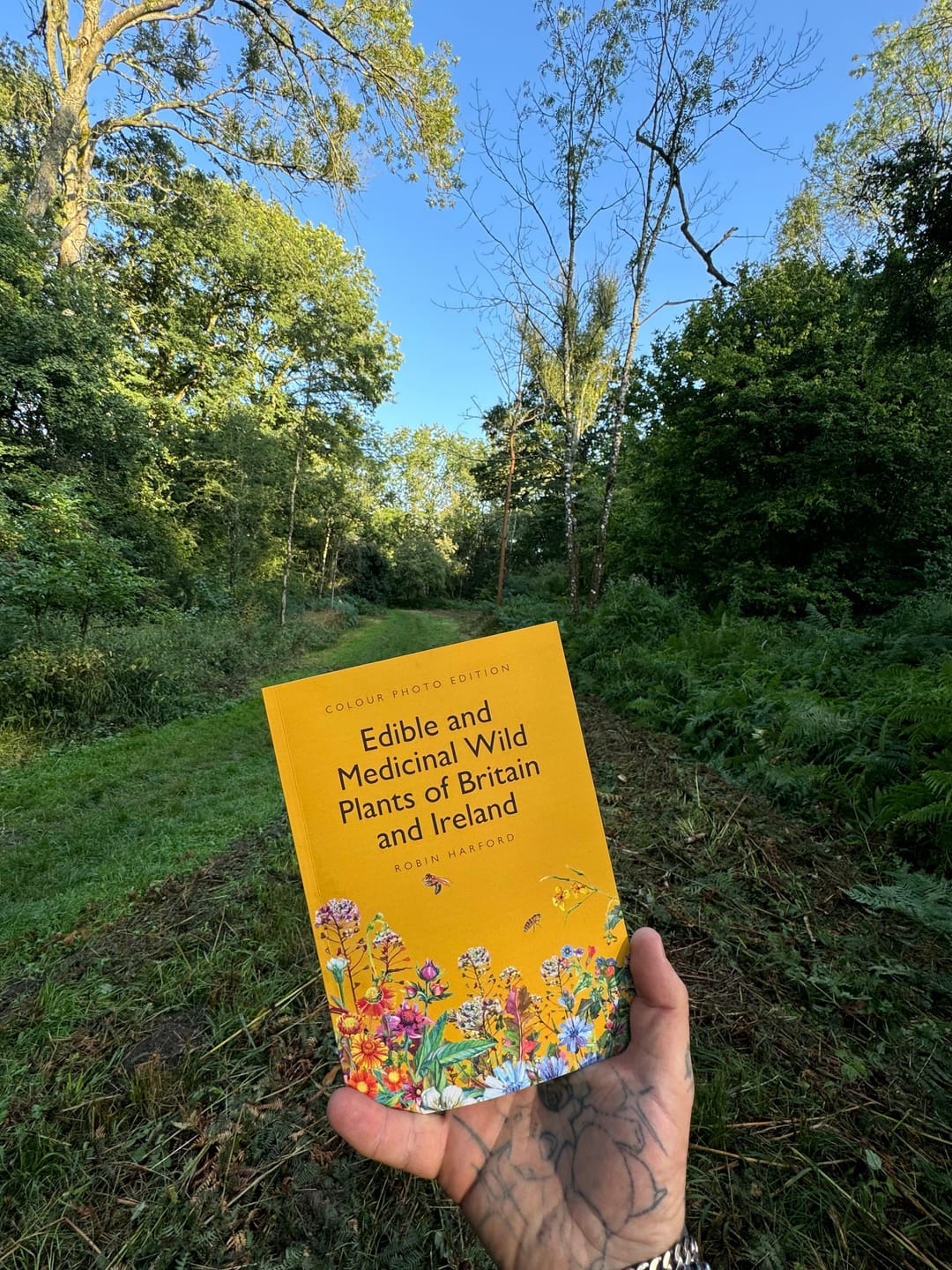 Customer photo review of Edible and Medicinal Wild Plants of Britain and Ireland