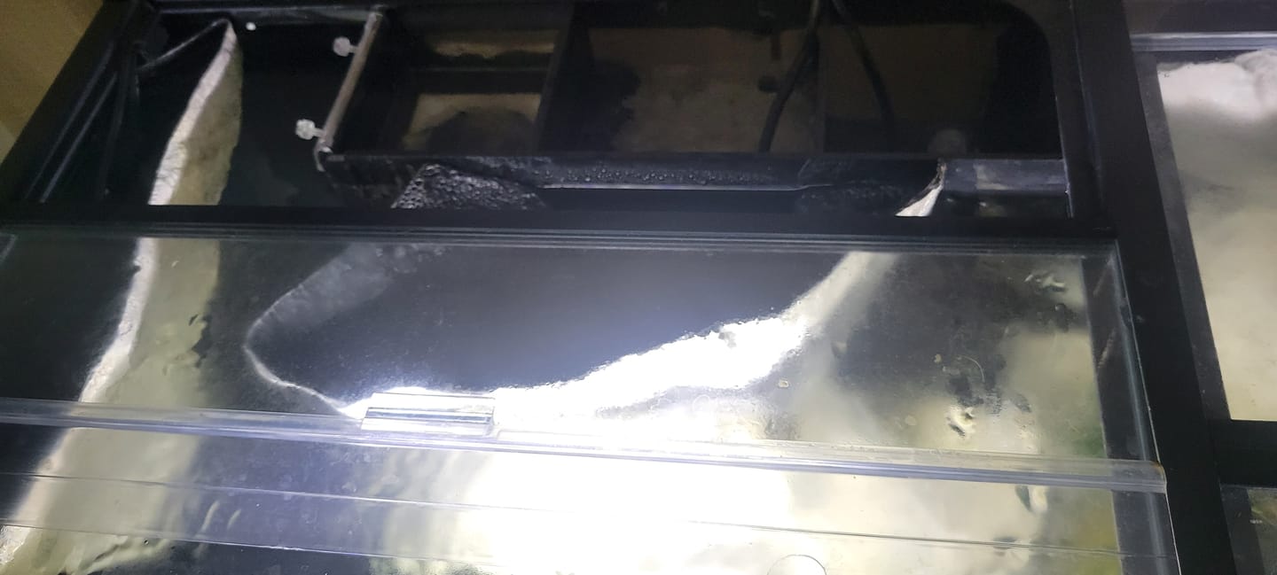Customer photo review of Fiji Cube AIO Box All-in-One Kit 4th Gen - 75 Gallon Standard