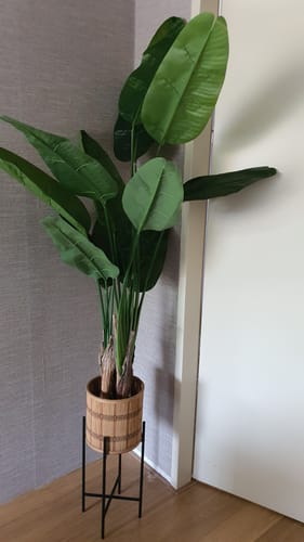 Customer photo review of Kunst Bananenplant 180cm